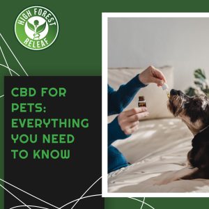 cbd for pets