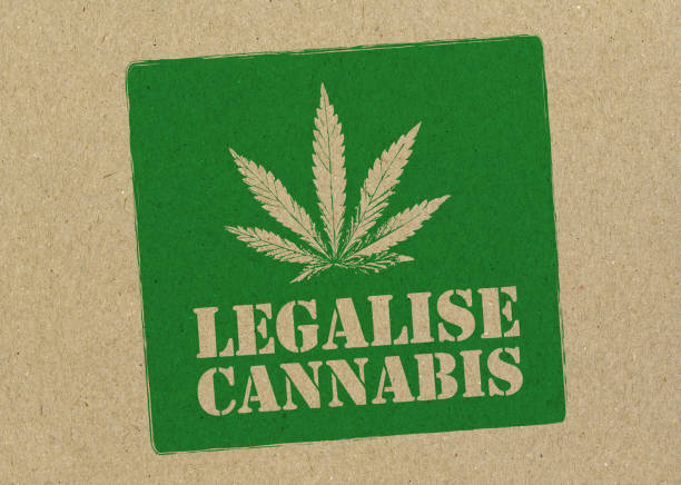 What You Need to Know About Cannabis Rescheduling 2 image 1