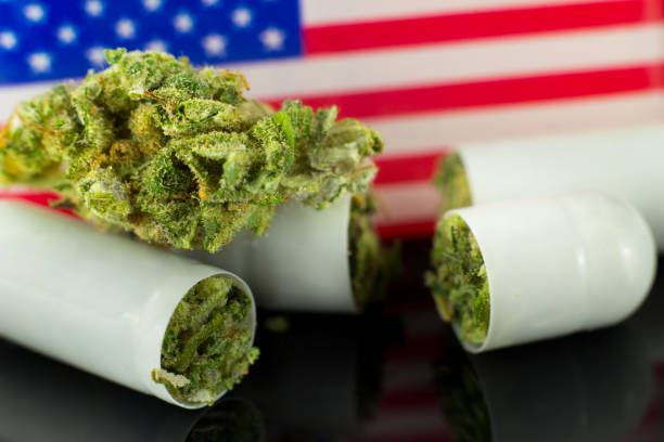 What You Need to Know About Cannabis Rescheduling 1 image